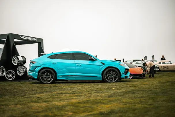 WinTomato Casino App Android/iOS